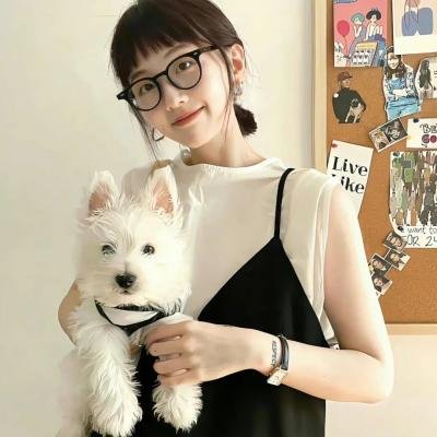 歌手是谁