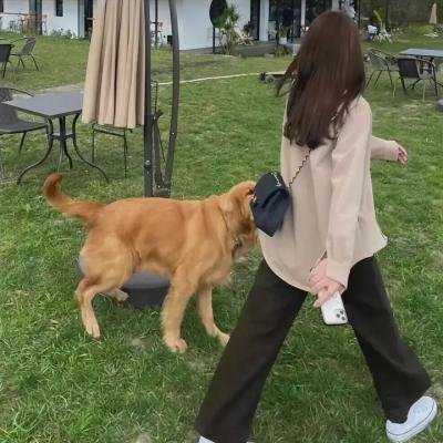 野兔邦妮